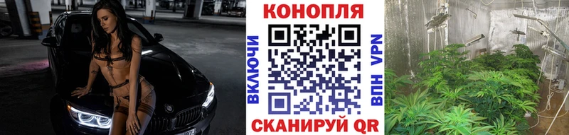 Магазины продажи наркотиков Киселёвск A-PVP Меф мяу мяу Канабис КОКАИН