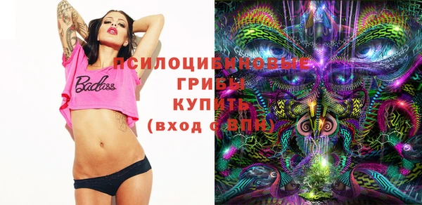 дживик Алексеевка