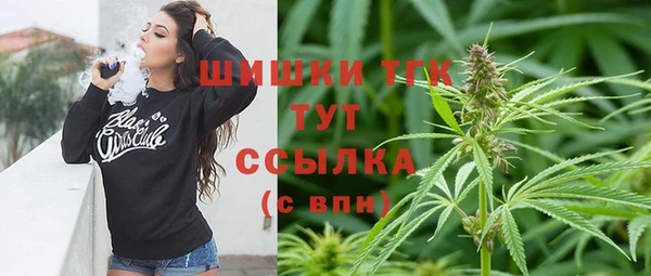 индика Абаза